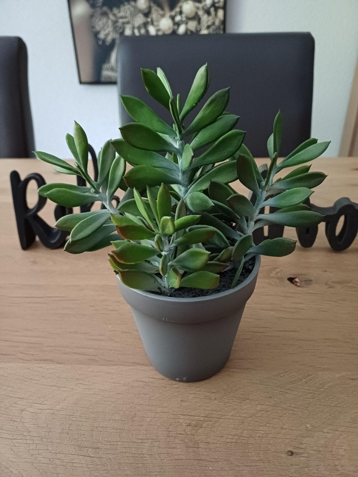 Te koop: Leuk kunstplantje, Ophalen, Groen, Kunstplant, Overige materialen