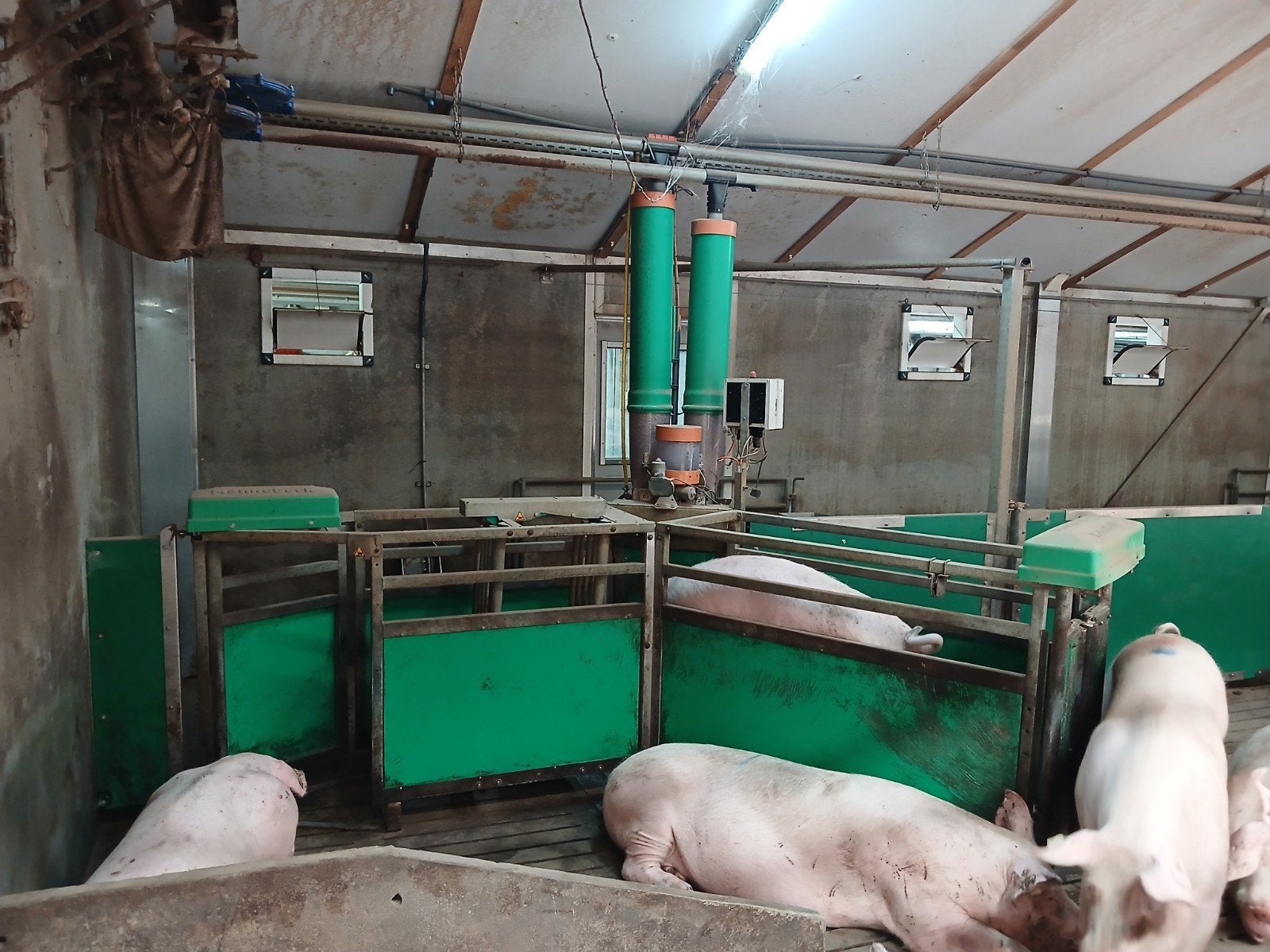 6x Mannebeck intec mac voerstations met besturingskast, Dieren en Toebehoren
