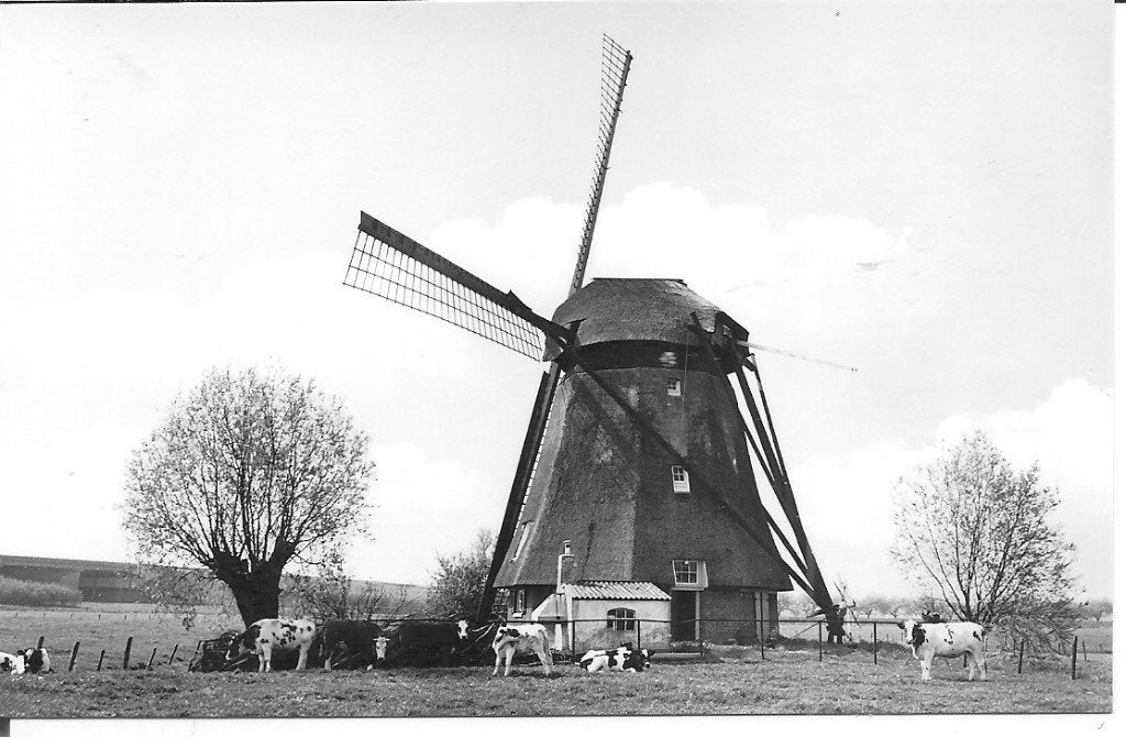 Wadenoijen poldermolen, 1976, Ophalen of Verzenden, 1960 tot 1980, Ongelopen, Gelderland