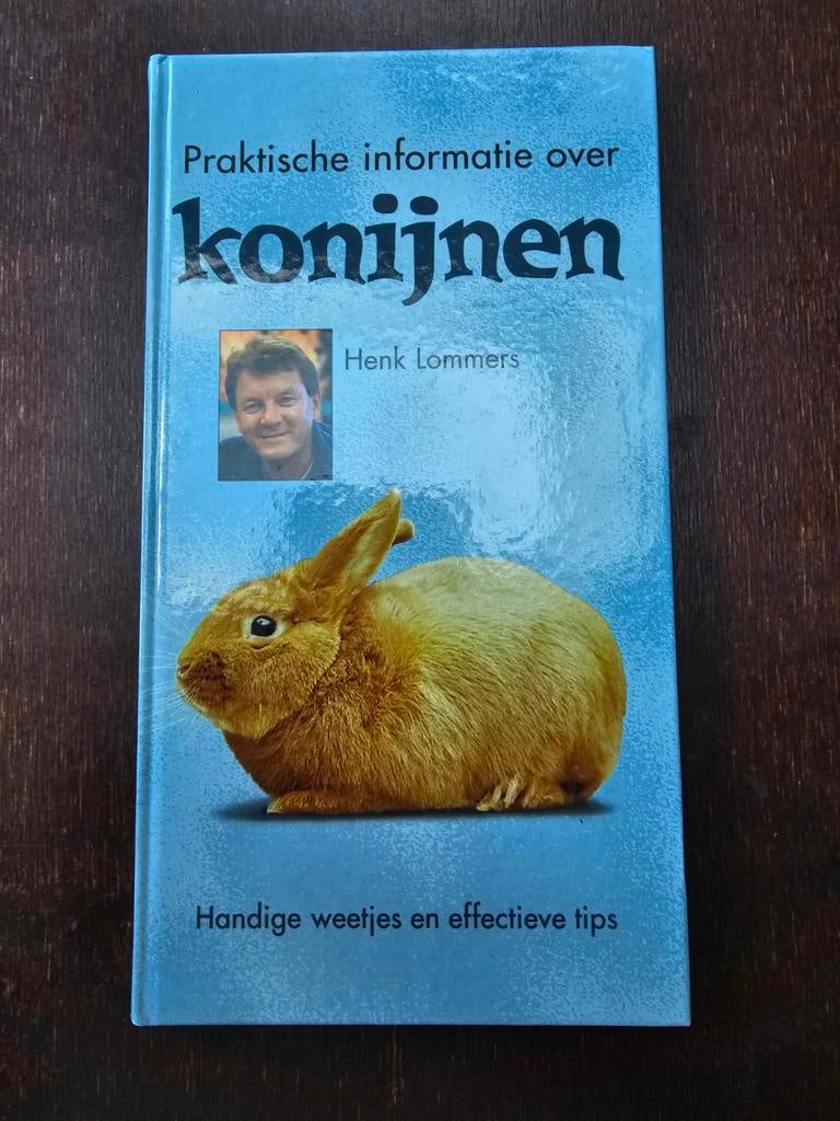 Praktische informatie over Konijnen - Henk Lommers, Boeken, Ophalen of Verzenden, Zo goed als nieuw, Konijnen of Knaagdieren, Henk Lommers