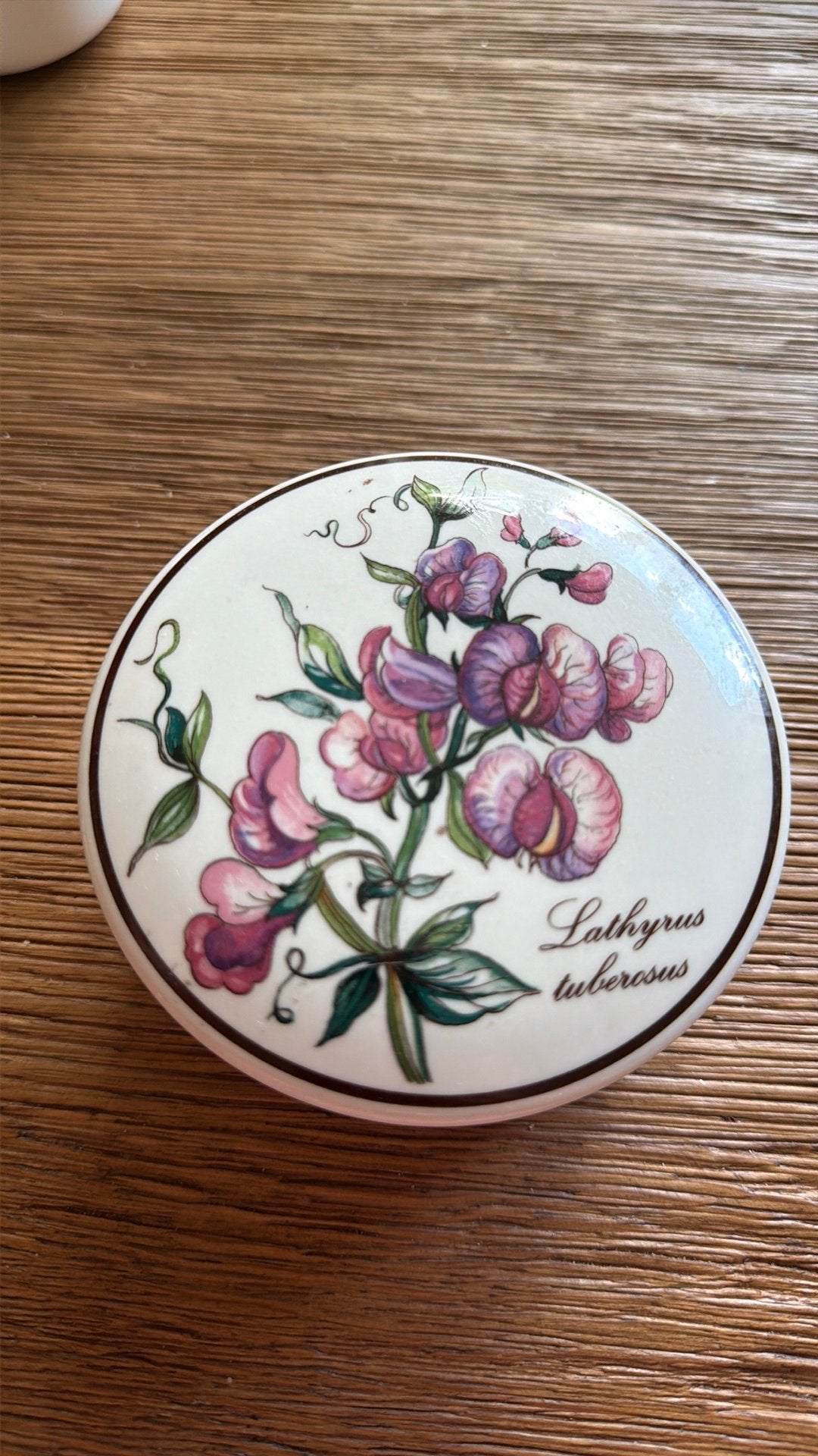 Villeroy & Boch Botanica potje lathyrus, Ophalen of Verzenden