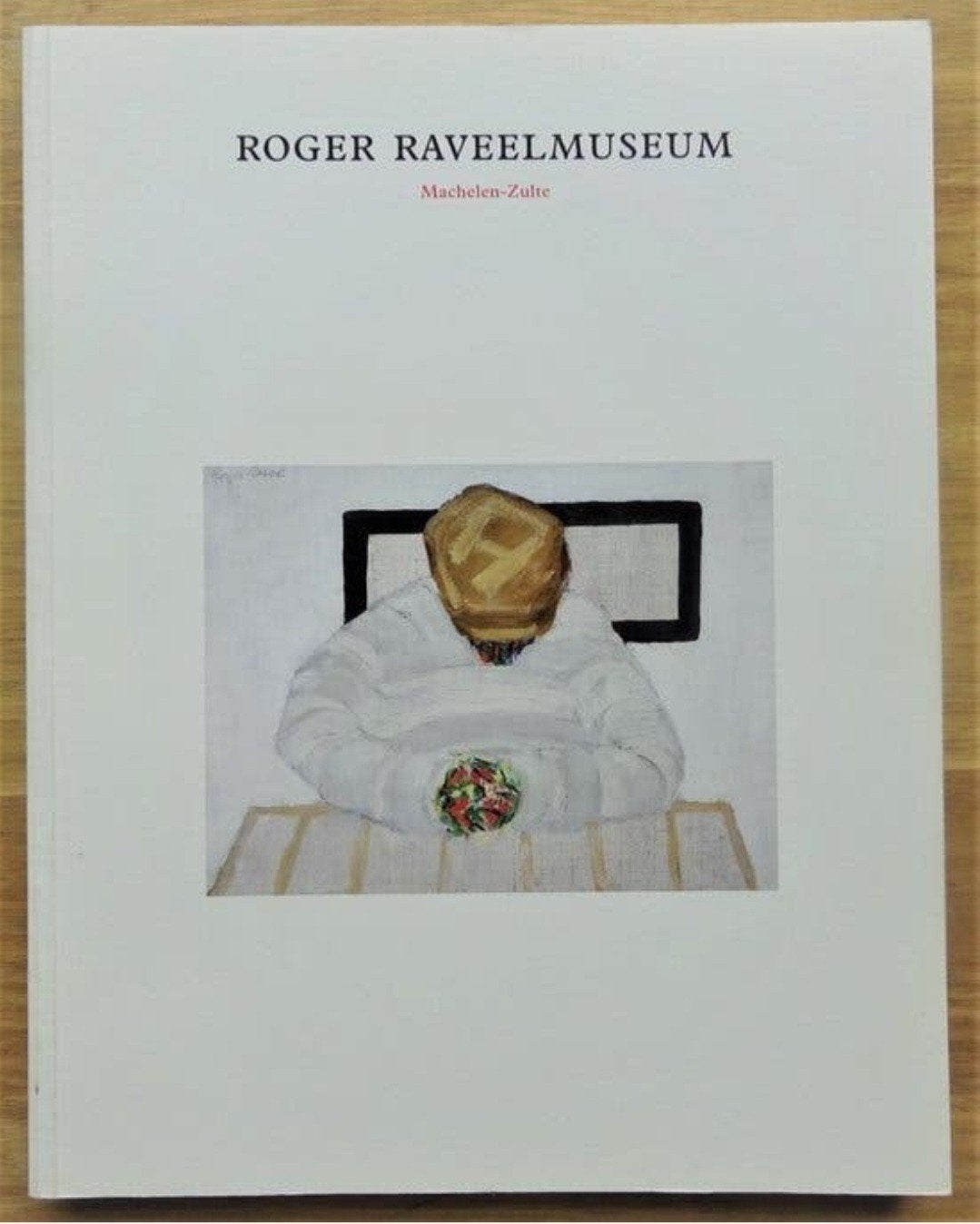 ROGER RAVEEL museum Belgie. Nederlandstalig, Ophalen of Verzenden, Zo goed als nieuw