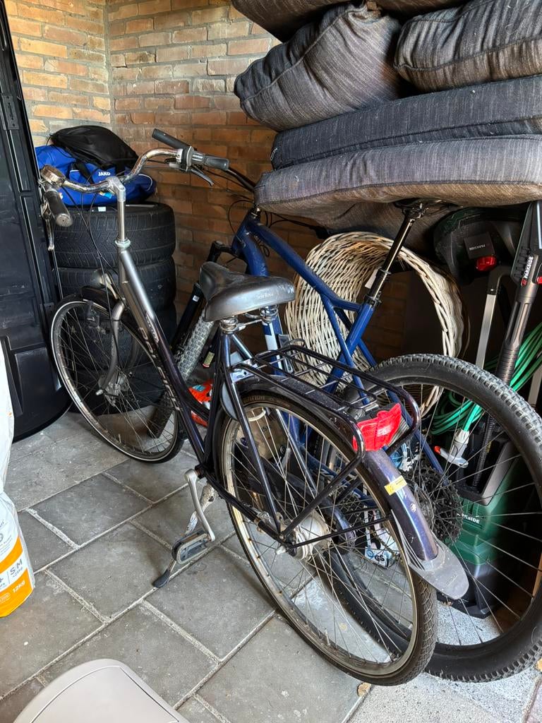 Raleigh damesfiets, Fietsen en Brommers, Fietsen | Vouwfietsen, Ophalen, 20 inch of meer, Gebruikt, Versnellingen