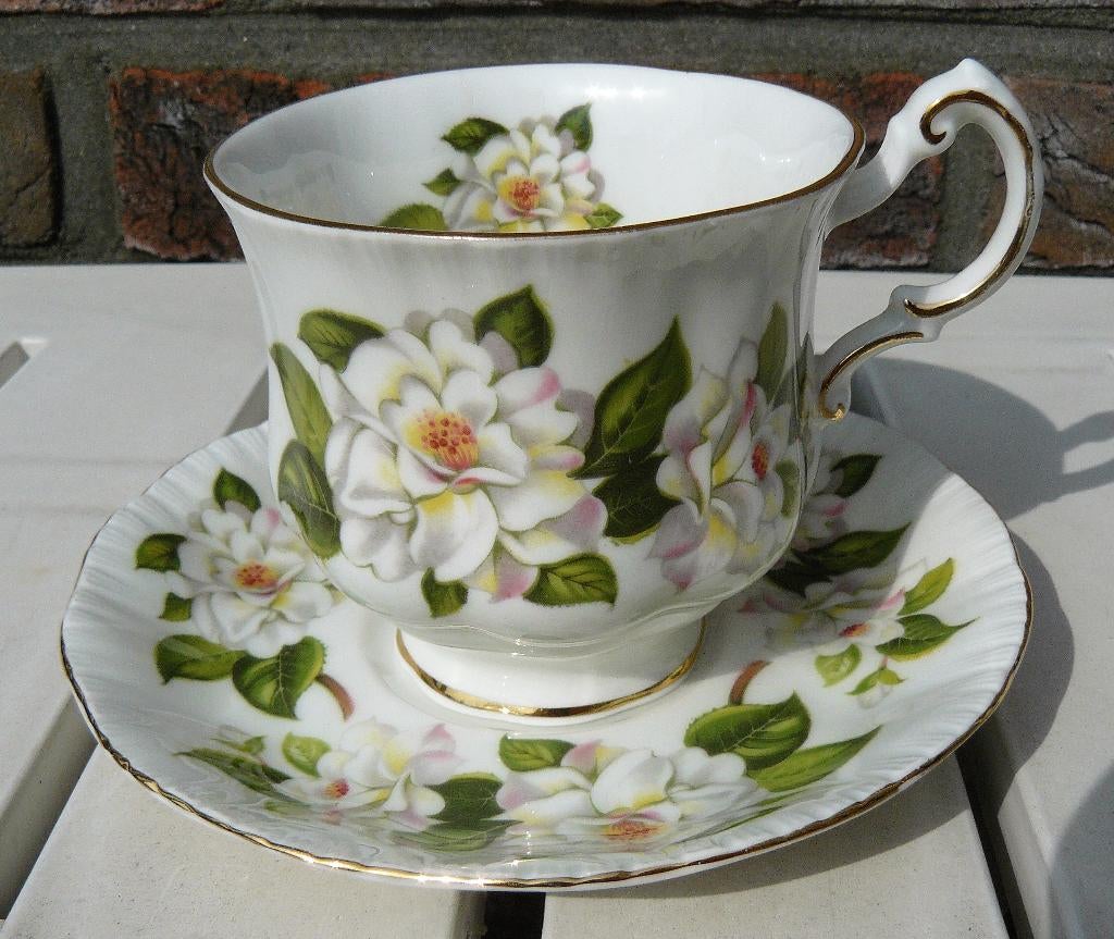 Paragon Camelia Series, Polar Bear kop en schotel, England., Ophalen of Verzenden