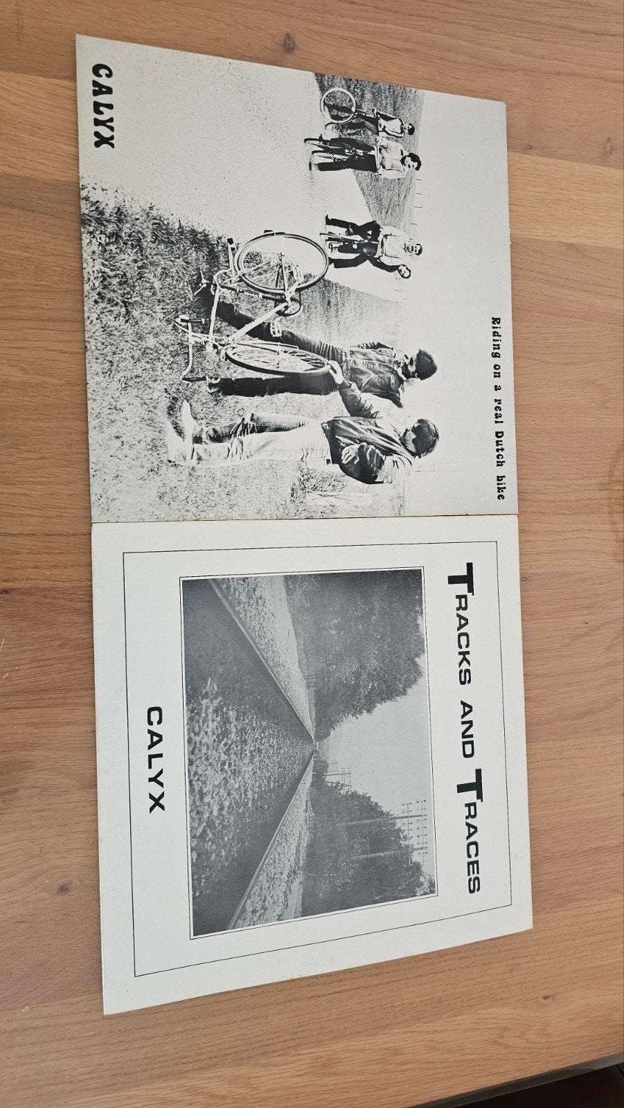Calyx - Tracks and Traces Riding on a real Dutch Bike, LP, Gebruikt, Pop, Ophalen of Verzenden