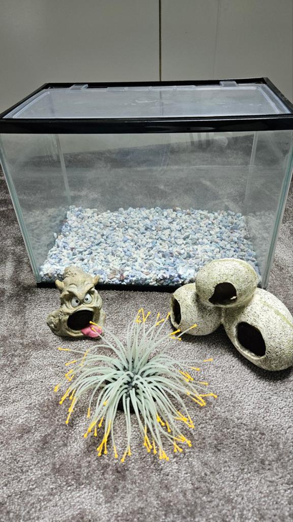 Vissenkom met accessoires, Ophalen, Inclusief toebehoren, Gebruikt, Leeg aquarium