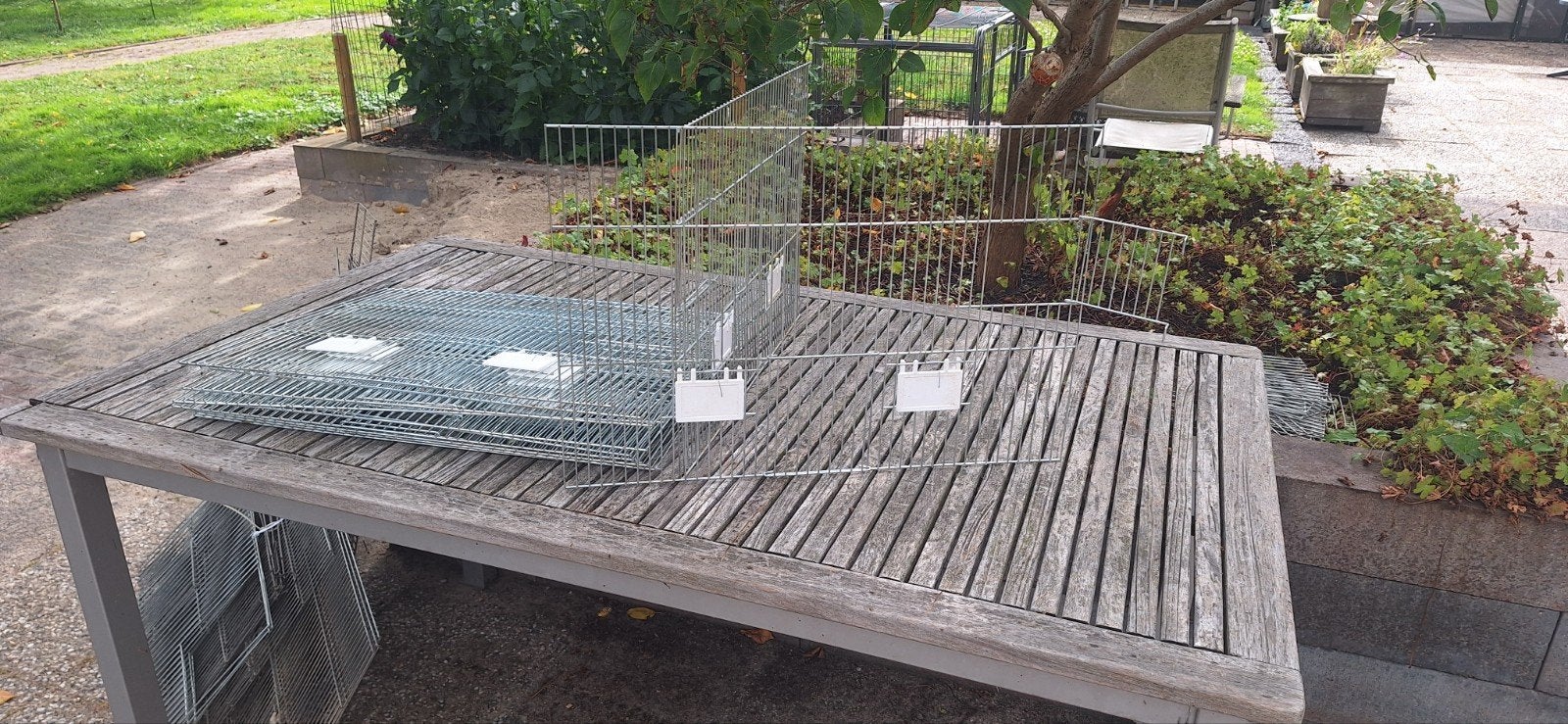 Fronten (tropen) Van Keulen.58,5 * 40 zgan. 12x., Dieren en Toebehoren, Vogels | Hokken en Kooien, Ophalen, Zo goed als nieuw