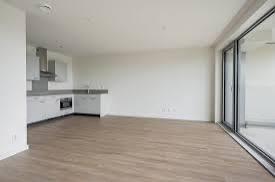 Huurder gezocht – gedeeld appartement, Huizen en Kamers, Kamers te huur, Zwolle, 50 m² of meer