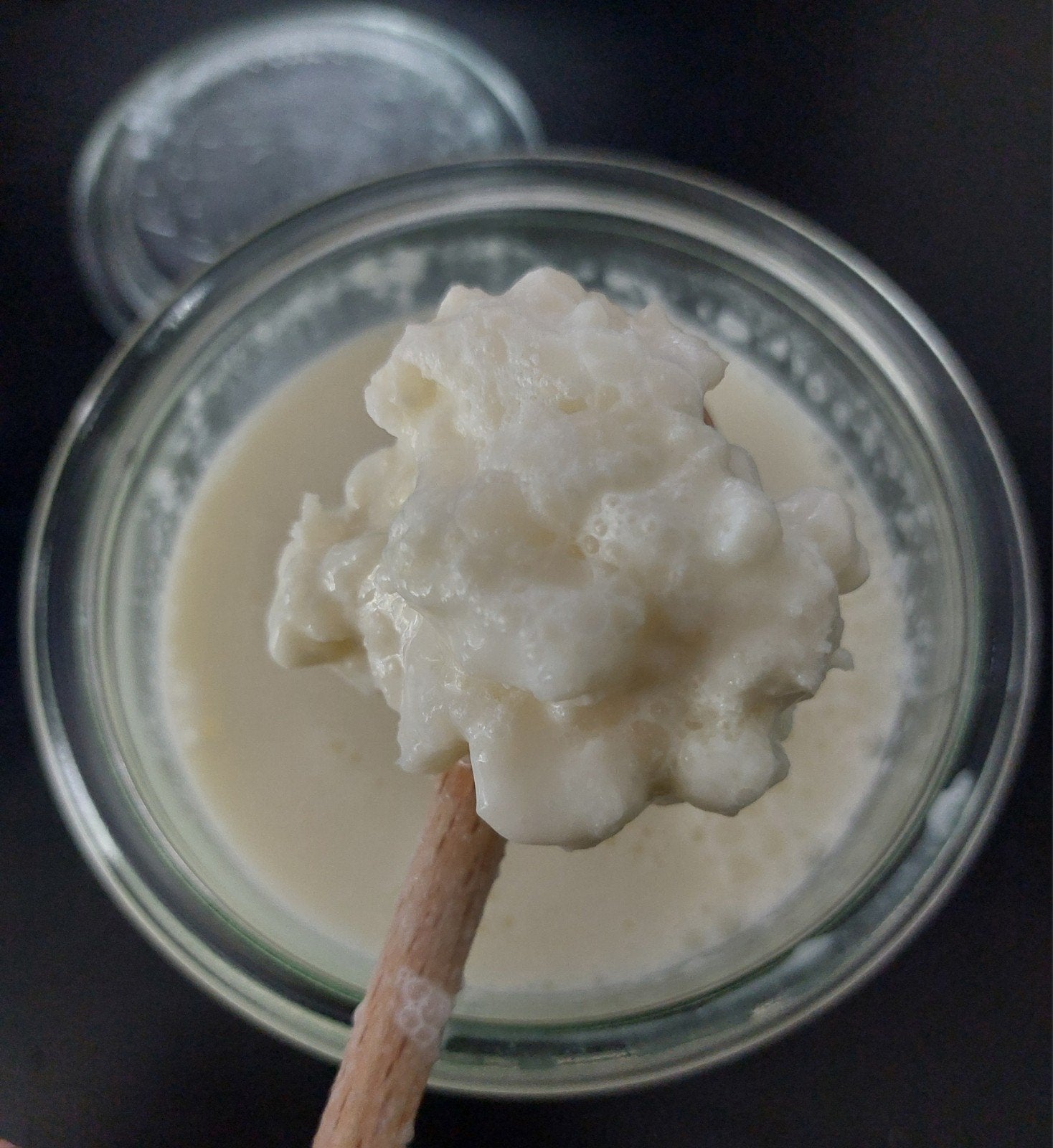 Melkkefirkorrels Biologische rauwe melk, Diversen, Ophalen