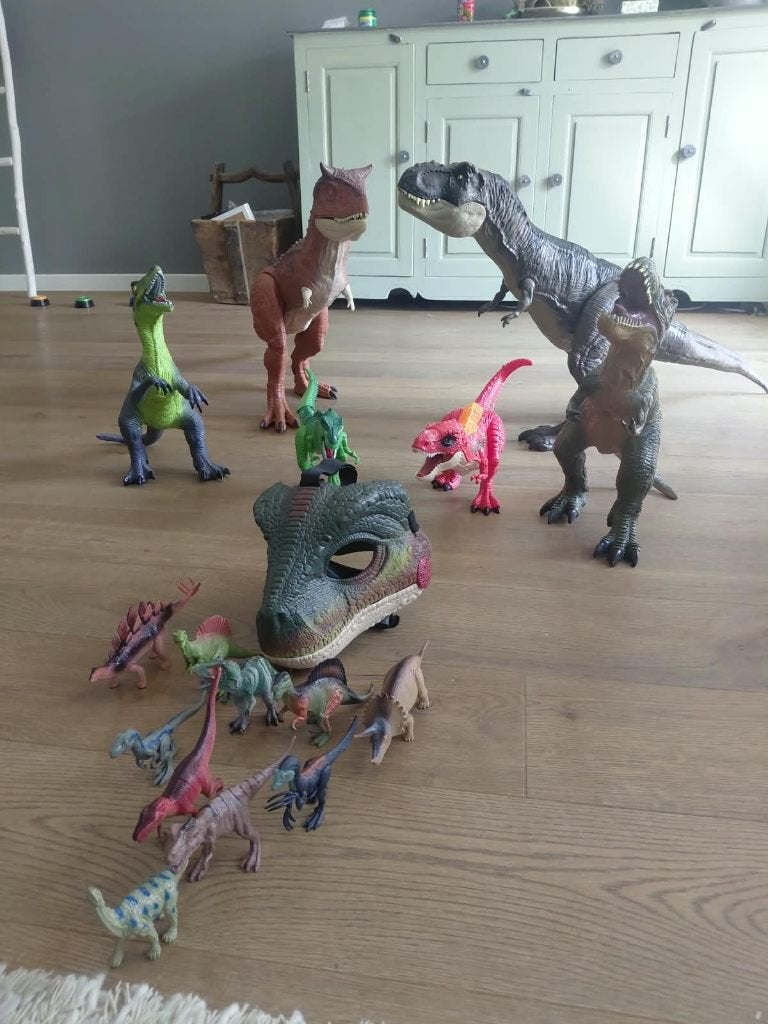 Dino's en dino masker, Ophalen, Zo goed als nieuw