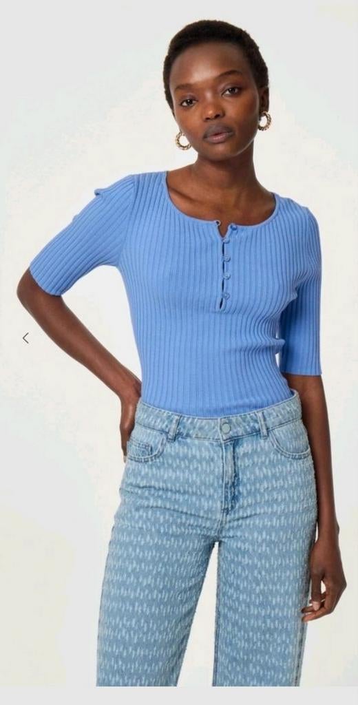 Fabienne Chapot Alida pullover/ trui maat M *nieuw *, Kleding | Dames, Maat 38/40 (M), Blauw, Nieuw, Ophalen of Verzenden