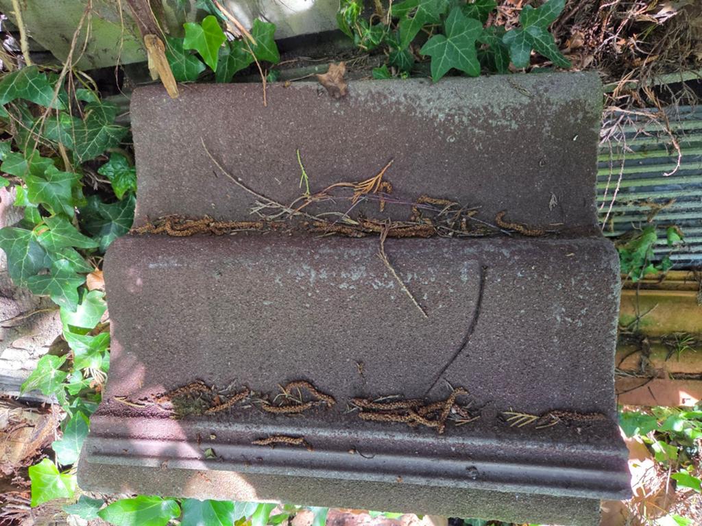 Sneldek beton pannen rood en grijs, Ophalen, Steen of Klei, 15 m² of meer, Dakpannen