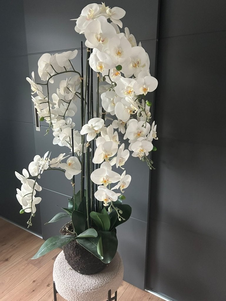 Witte grote kunst orchidee, Huis en Inrichting, Ophalen, Zo goed als nieuw, Wit