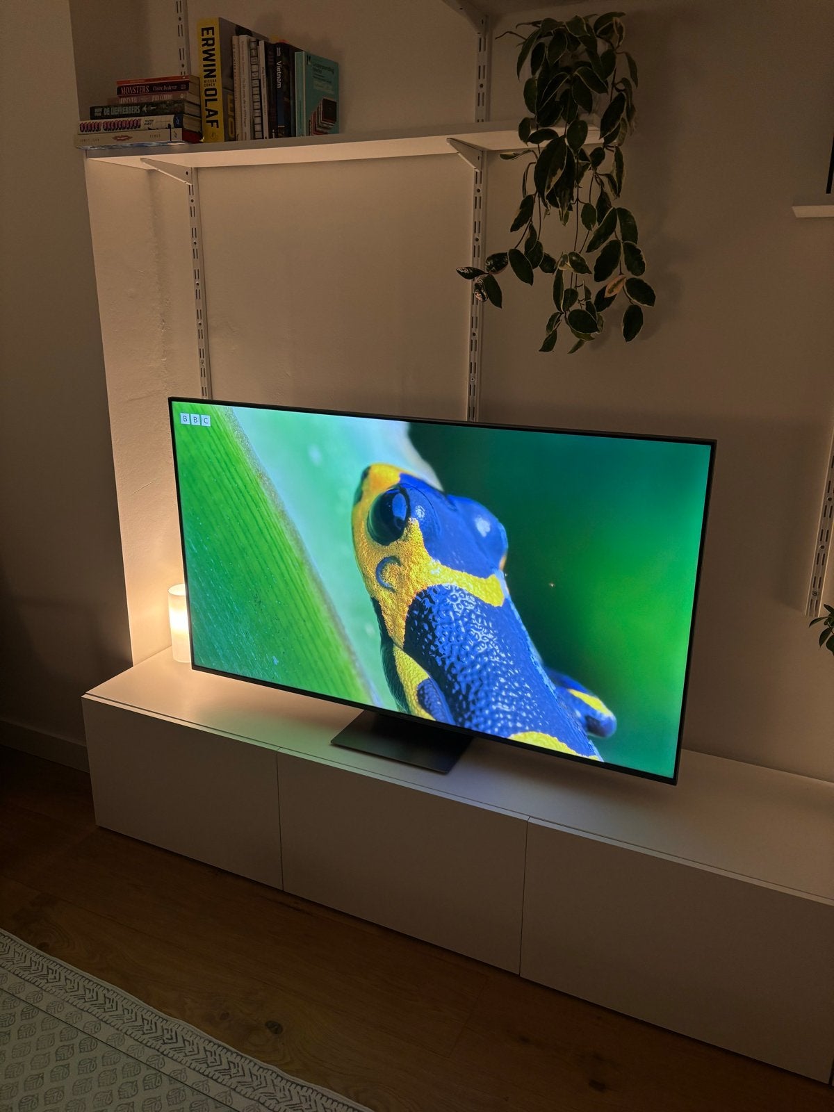 TCL 55C831 - 55 inch 4K MiniLED Smart TV (2023), LED, 120 Hz, Zo goed als nieuw, 100 cm of meer