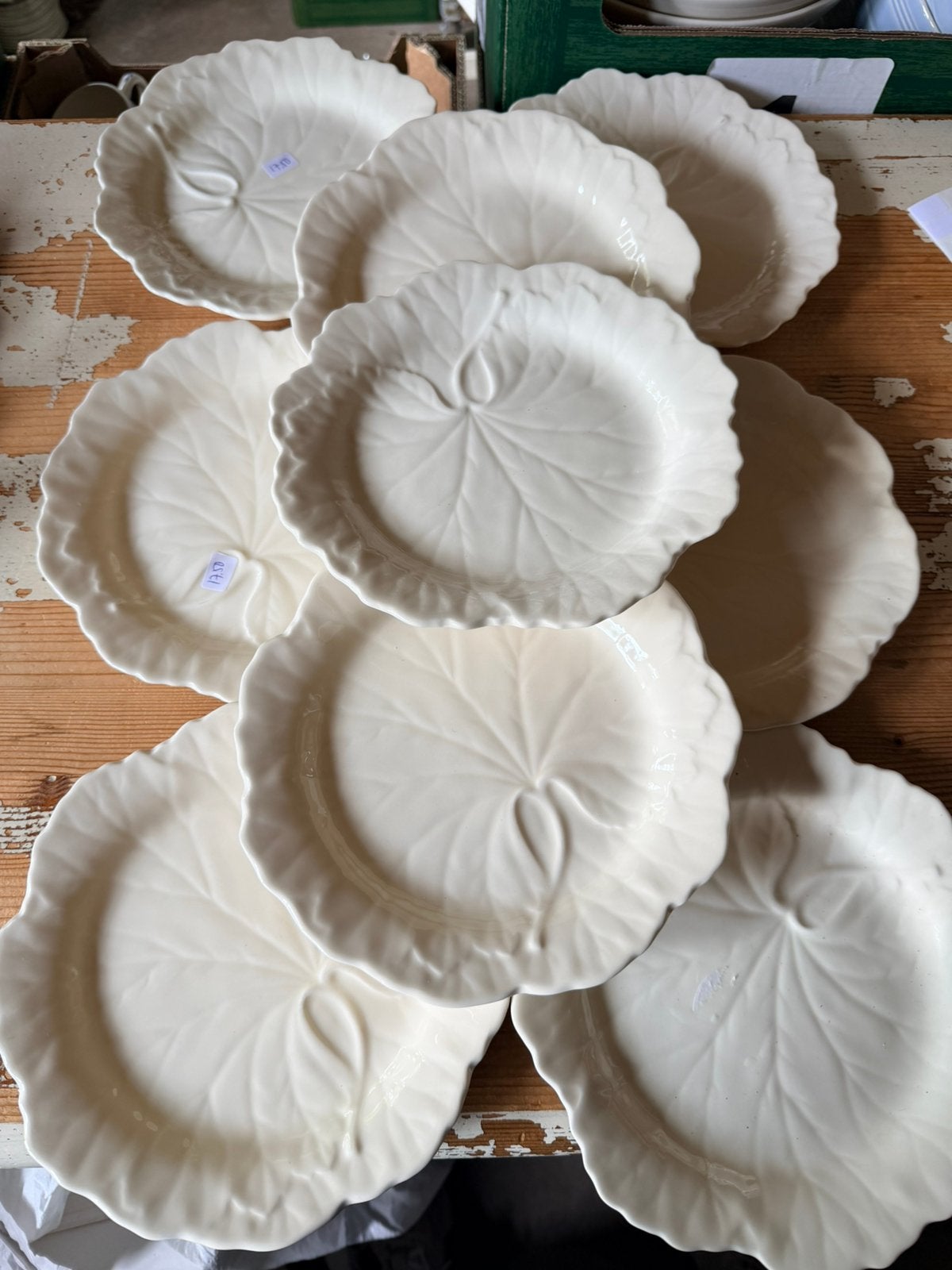 Wedgwood EDME LEAF