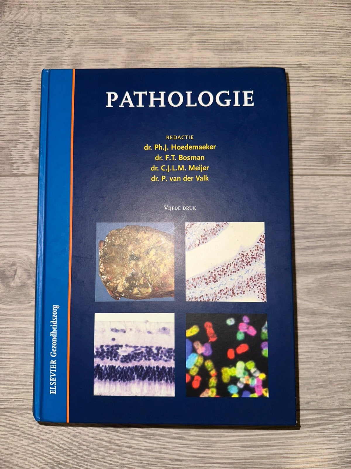 Pathologie – 5e druk | Geneeskunde | ISBN 9789035225466, Ophalen of Verzenden, Beta, Zo goed als nieuw, WO