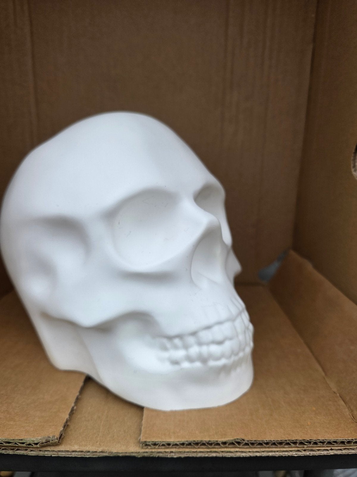 halloween  grote schedel, Ophalen of Verzenden, Nieuw, Overige typen