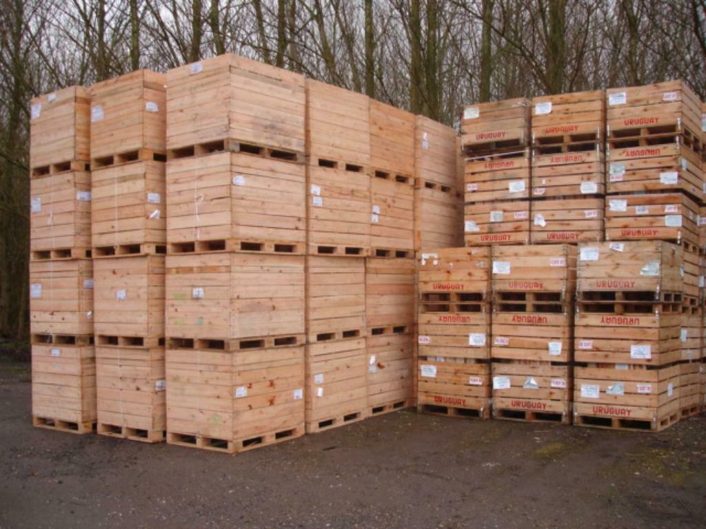 kuubskisten palletbox fruitkisten aardappelkist voorraadbak, Ophalen of Verzenden, Kistenhandel, Info@kistenhandel, 1948 Na