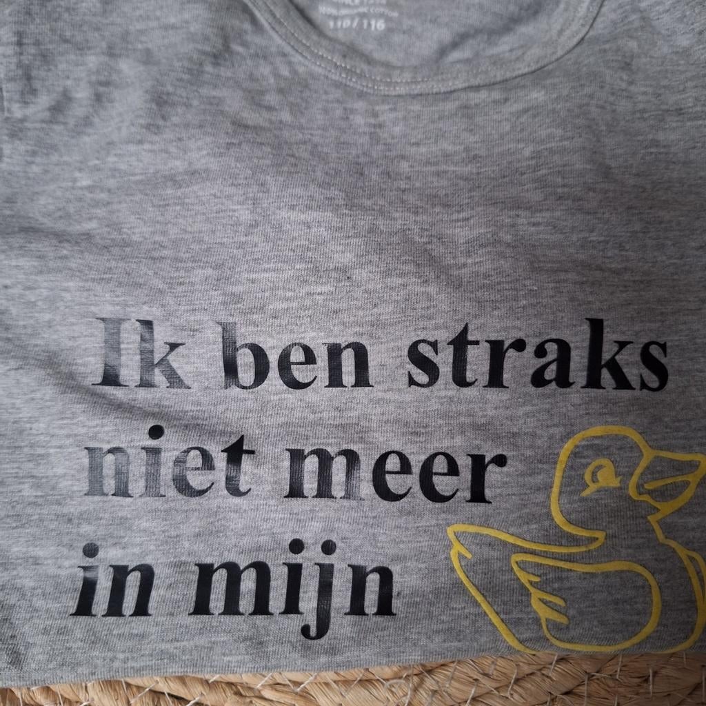Shirt maat 110 - Aankondiging broertje/zusje, Kinderen en Baby's, Jongen of Meisje, Nieuw, Ophalen of Verzenden, Shirt of Longsleeve