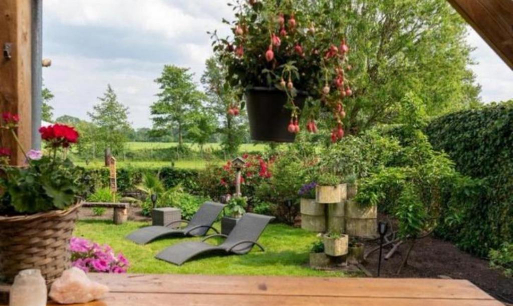 WELLNESS VAKANTIEWONING MET PRIVÉ SAUNA’S & JACUZZI, Open haard, Overijssel, Landelijk, 1 slaapkamer
