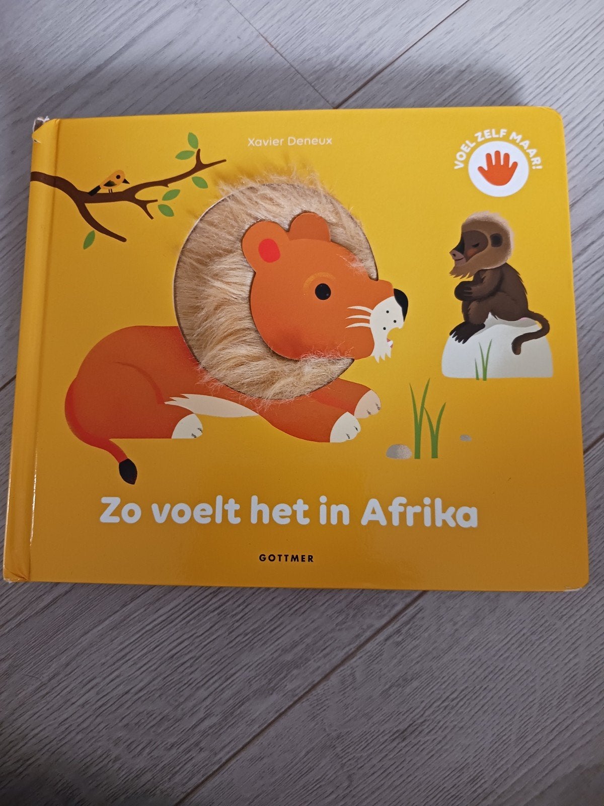 Voelboekje, Ophalen, Gelezen
