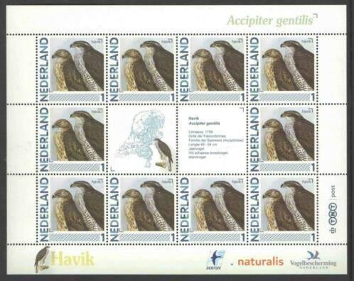 Vogels in Nederland Vel Havik, Ophalen of Verzenden, Postfris