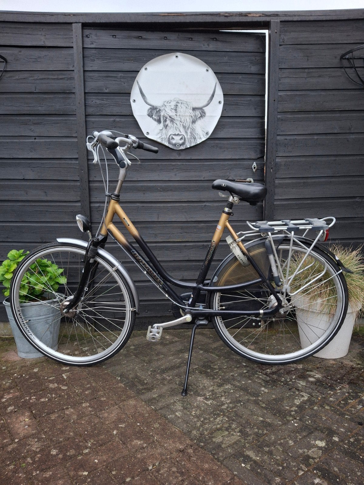 Batavus Adagio damesfiets meisjesfiets 28 inch H57cm 7 versn, Ophalen, Versnellingen, Batavus, 56 cm of meer