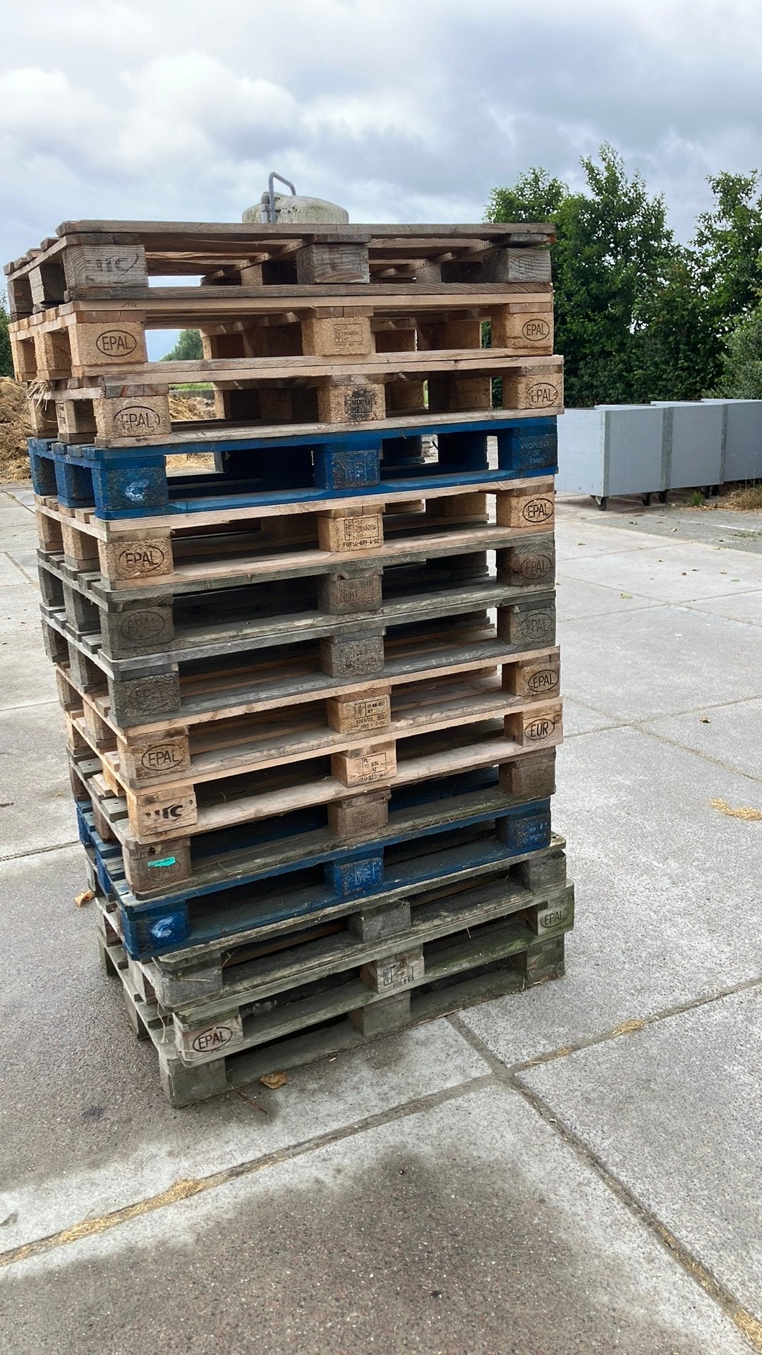 Europallets 12 stuks 80 x 120 cm, Doe-het-zelf en Verbouw, Kratten en Dozen, Ophalen, Gebruikt, 100 cm of meer, 60 cm of meer