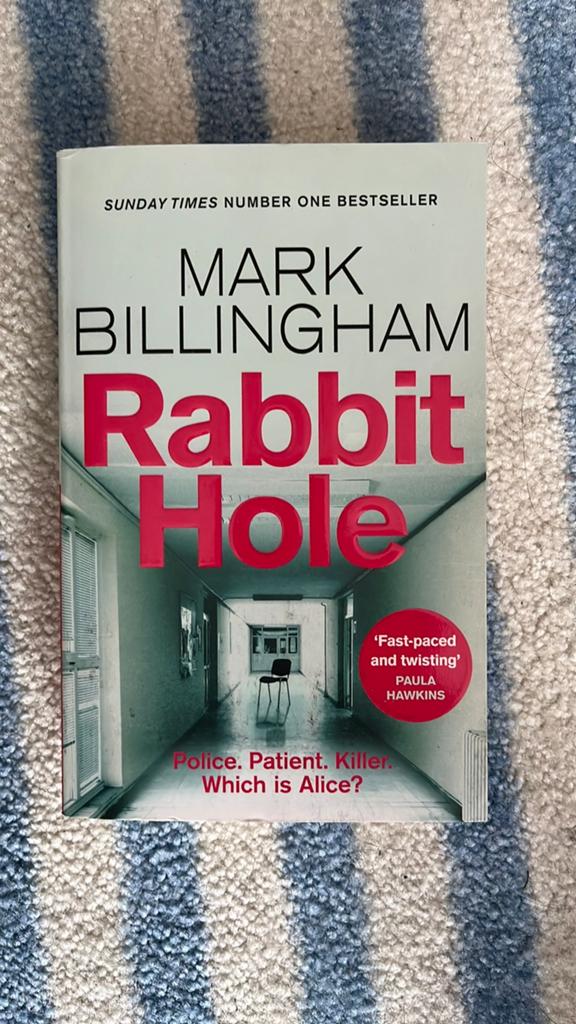 Boek Rabbit hole te koop, Ophalen of Verzenden, Zo goed als nieuw