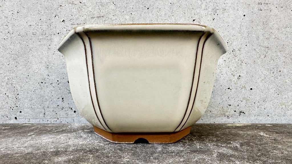 Fuji Japan | Bonsai schaal pot 14x14x8cm (5*), Ophalen of Verzenden, Zo goed als nieuw, Overige vormen, Aardewerk
