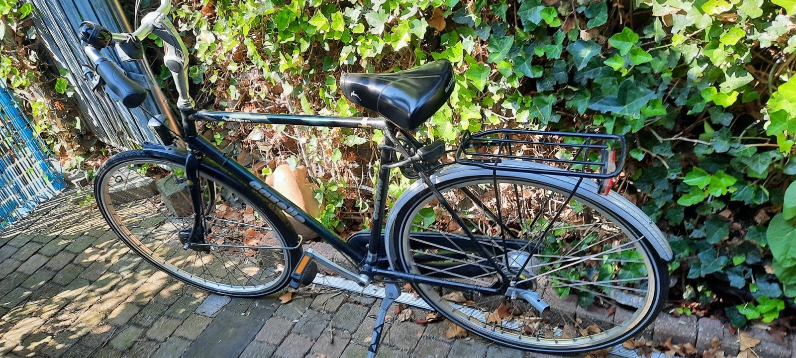 Damesfiets, herenfiets en multifunctionele honden-/kinderkar, Fietsen en Brommers, Fietsaccessoires | Aanhangers en Karren, Ophalen