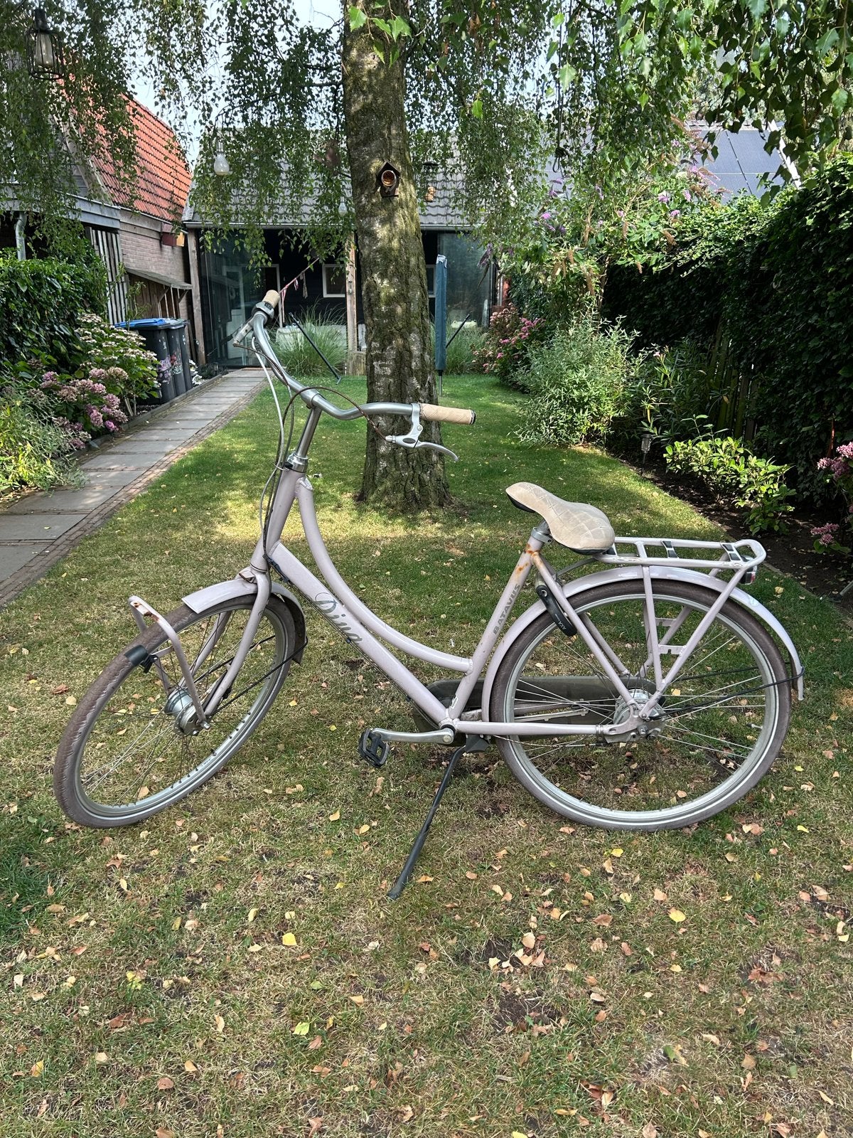 Batavus Diva Damesfiets, Ophalen, Batavus, 56 cm of meer, Trommelrem