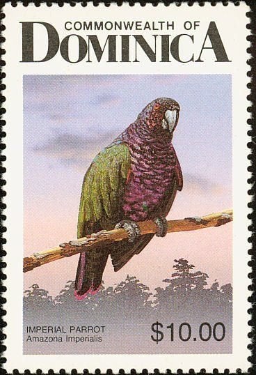 BOMINICA 45 - Dieren: vogels (papegaai), Verzenden, Postfris, Dier of Natuur