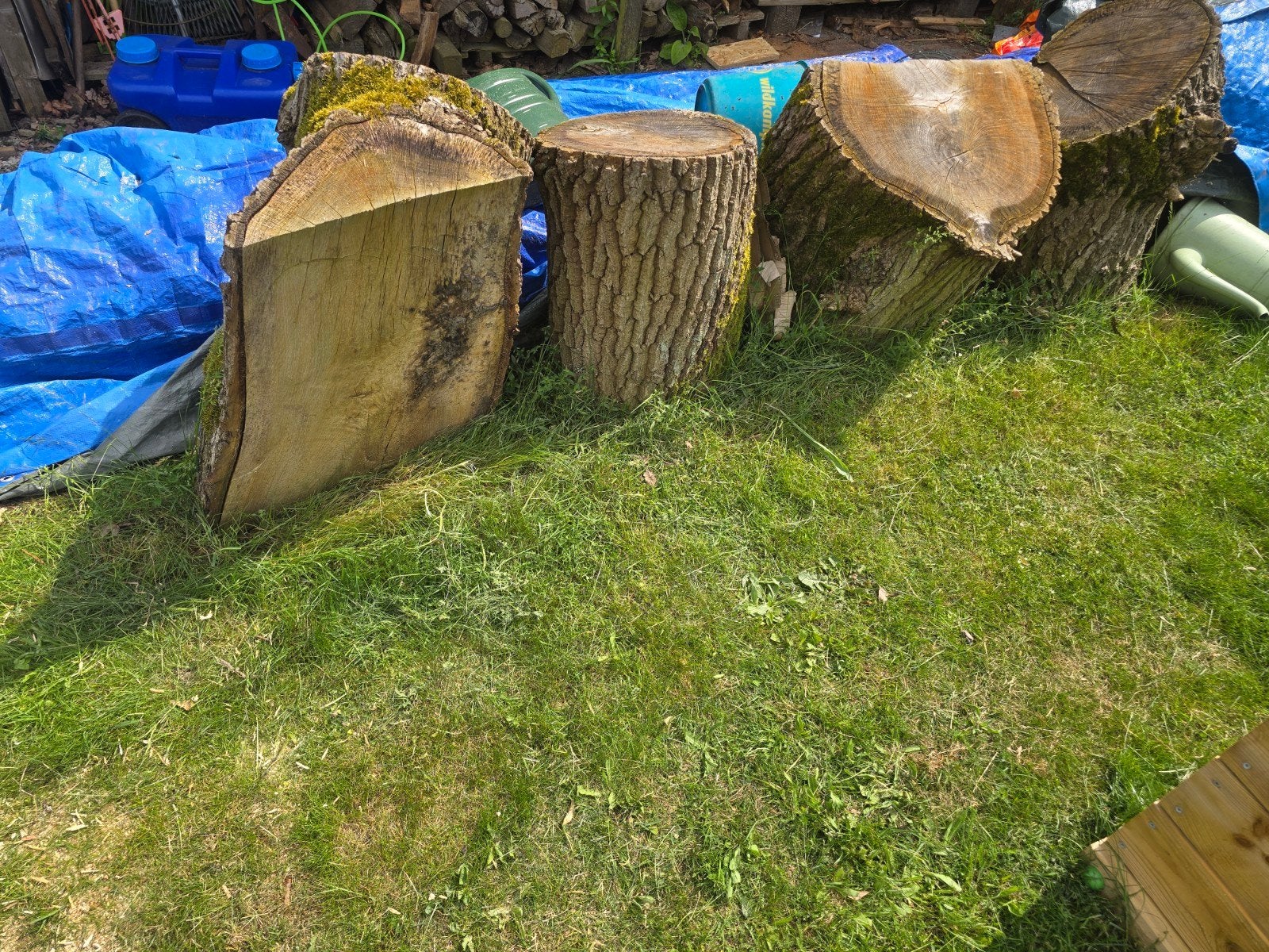 Grote houtblokken voor decoratie of brandhout, Ophalen, Overige houtsoorten, Blokken