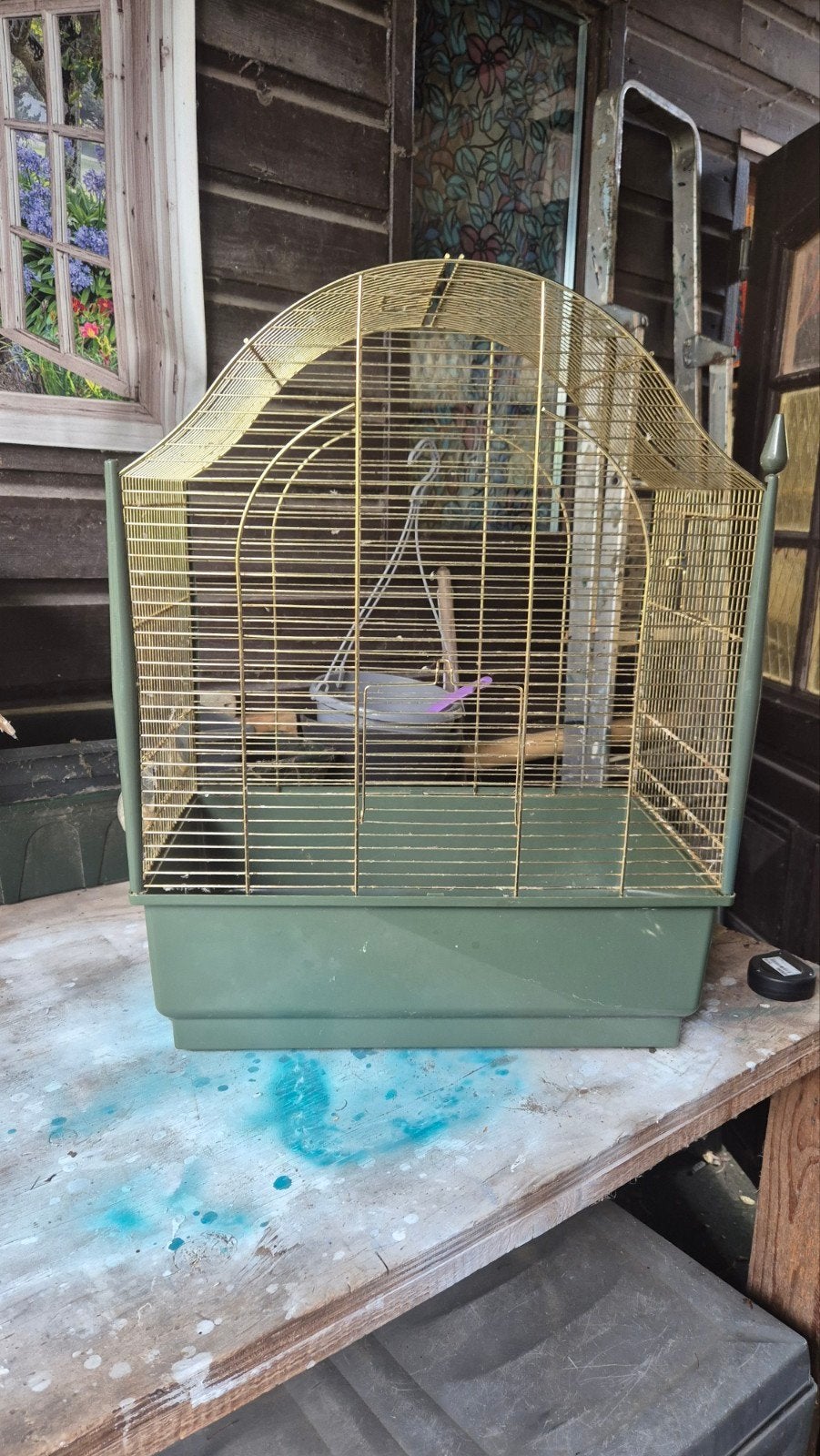 vogelkooi 50 x 65 hoog .groen goud, Dieren en Toebehoren, Vogels | Hokken en Kooien, Ophalen