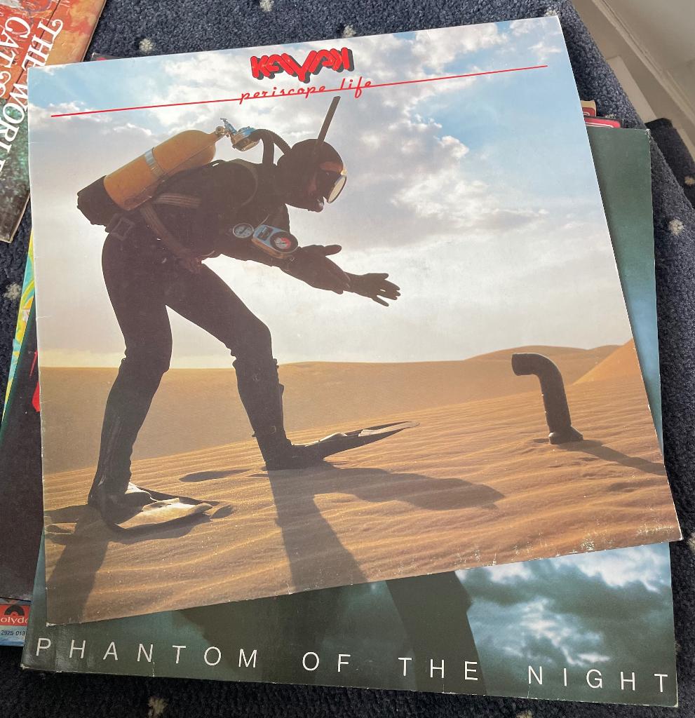 Vinyl LPs Kayak, Ophalen of Verzenden, 1990 - 1999, Gebruikt, 12 inch
