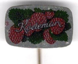 Koeleman ter Aar conserven blik speldje ( K_203 ), Verzamelen, Verzenden, Zo goed als nieuw, Merk, Speldje of Pin