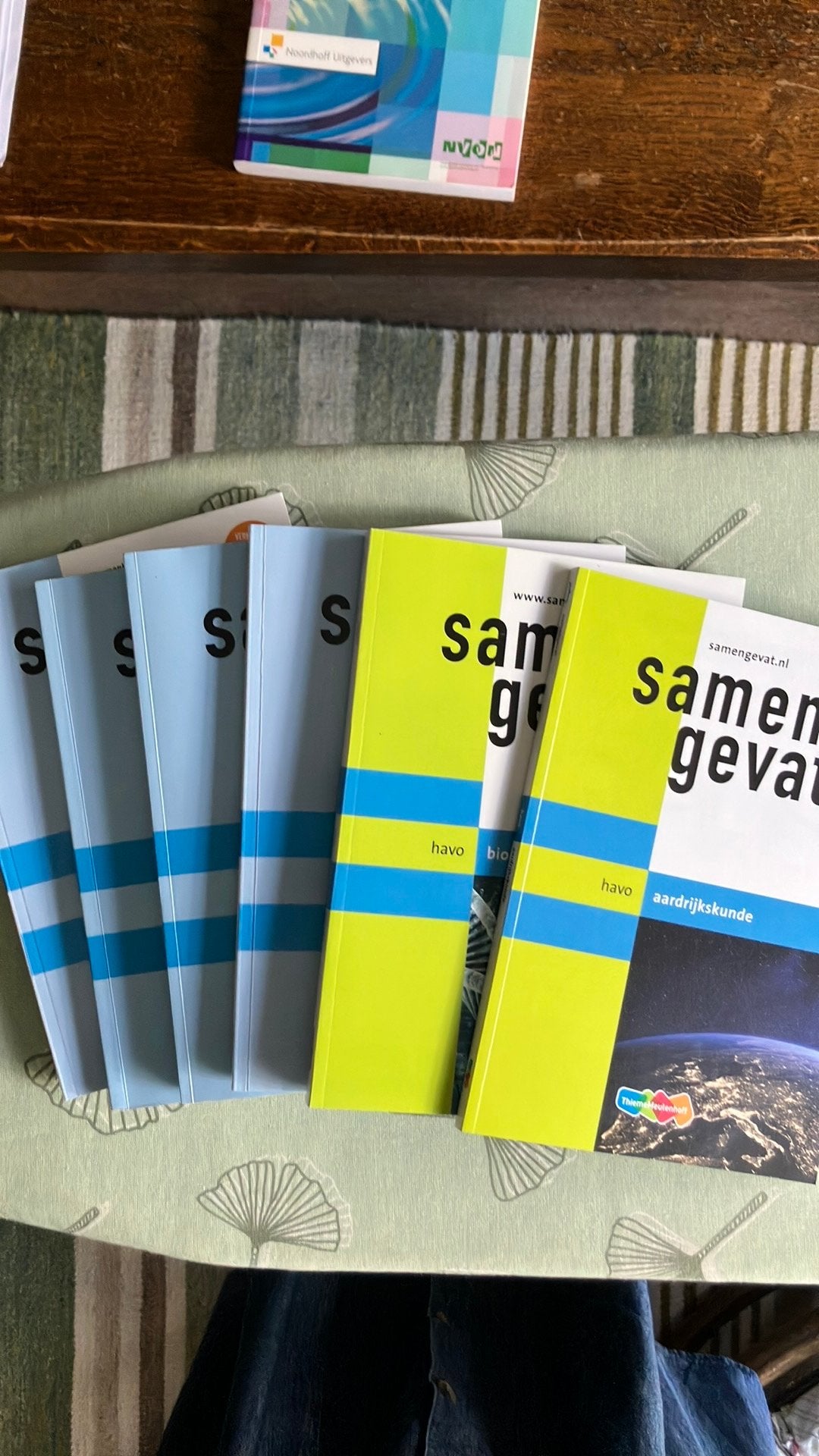 Samengevat havo, Boeken, Schoolboeken, Ophalen of Verzenden, Zo goed als nieuw, HAVO, Aardrijkskunde