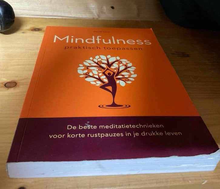 Mindfulness praktisch toepassen - David Harp, Ophalen, Zo goed als nieuw, Meditatie of Yoga, Instructieboek