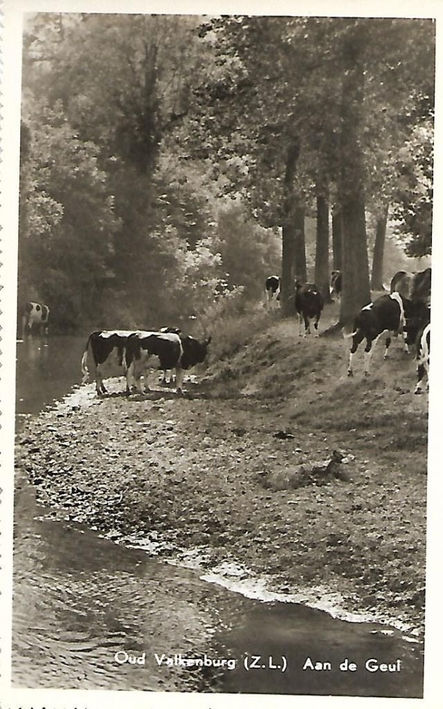 Oud Valkenburg- -Aan de Geul., Verzenden, 1960 tot 1980, Ongelopen, Limburg