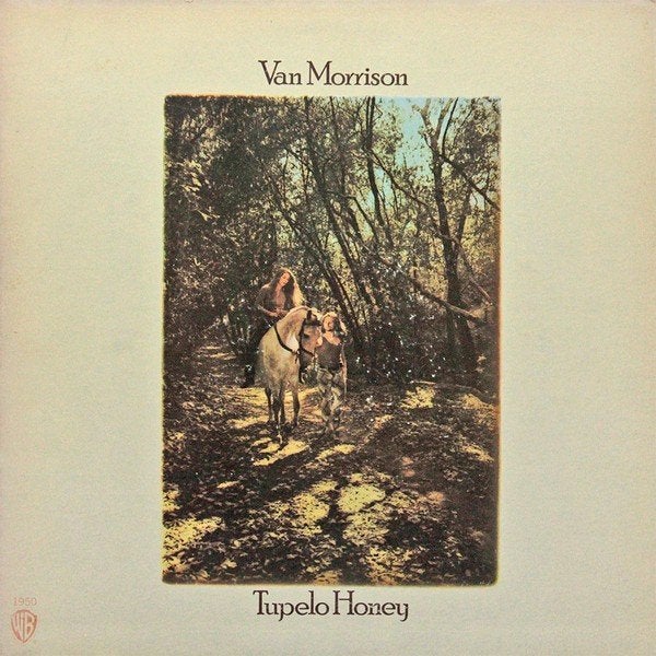 Van Morrison LP CD DVD 's - hoeft niet in 1 koop, Ophalen of Verzenden, Gebruikt