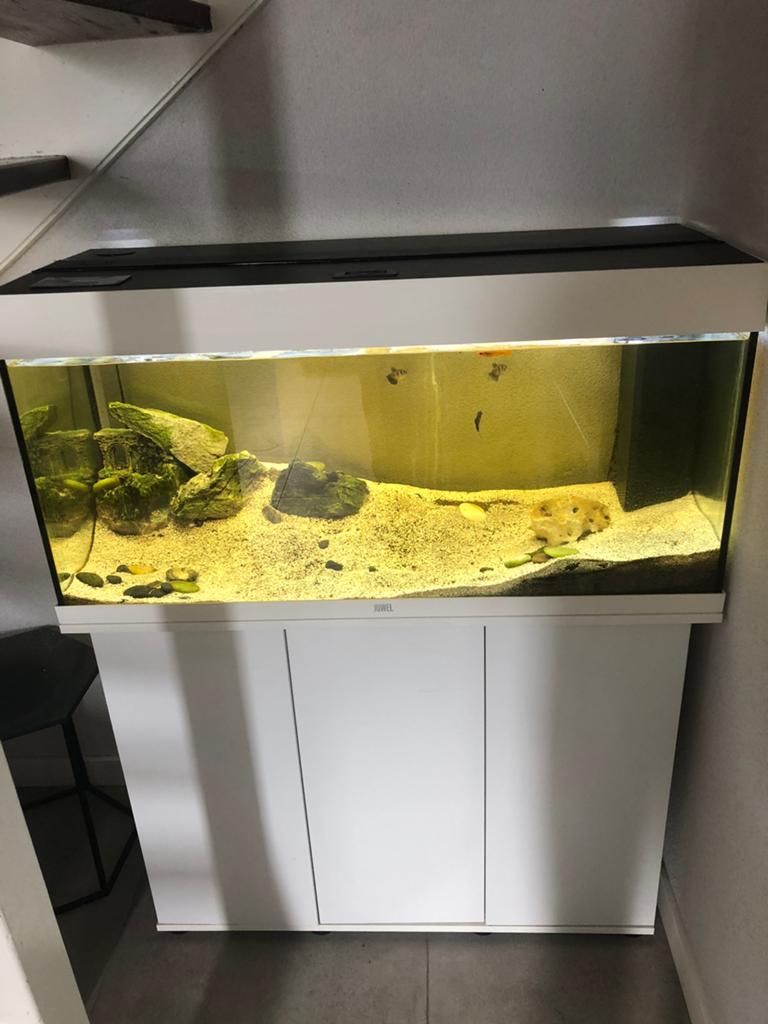 Juwel Rio 180 100x40x50 inclusief meubel., Dieren en Toebehoren, Ophalen, Verwarming, Zo goed als nieuw, Leeg aquarium