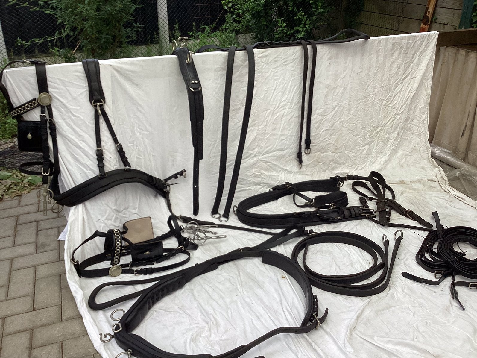 Tweespan lux mentuig Full, Dieren en Toebehoren, Ophalen of Verzenden, Gebruikt, Dressuur
