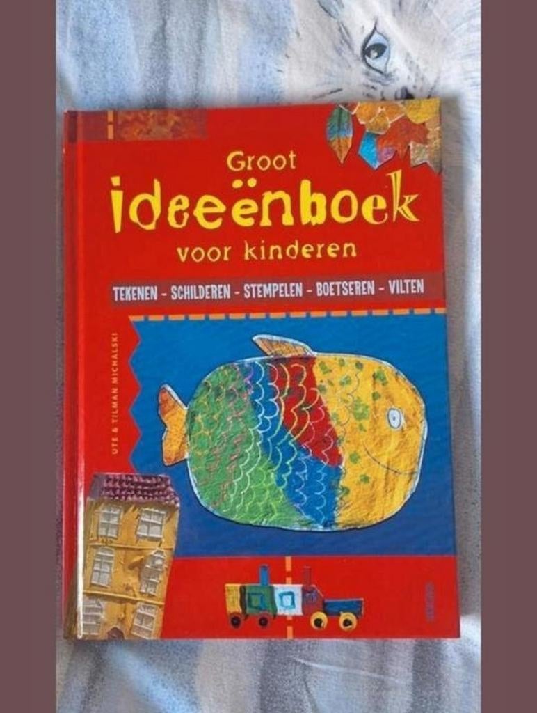 Groot Ideeënboek voor Kinderen, Boeken, Ophalen of Verzenden, Zo goed als nieuw, Ute & Tilman Michalski, Non-fictie