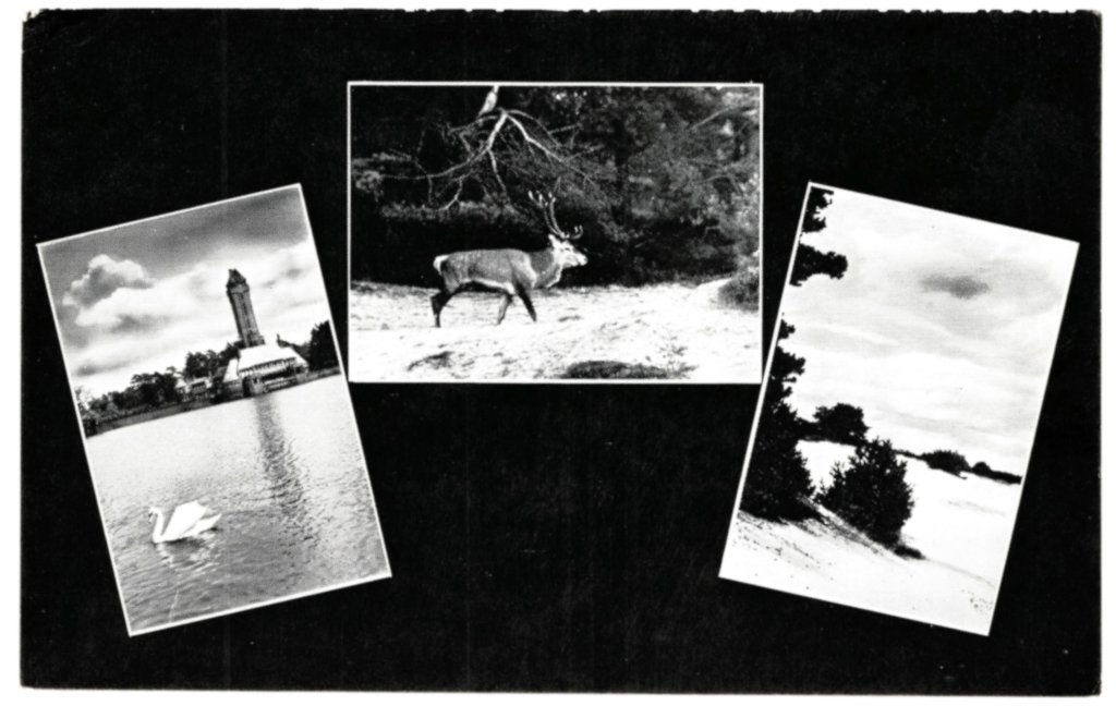969006	Otterlo	Hoenderloo	Gld Hoge Veluwe	 	 VVV infokaart, Ophalen of Verzenden, 1940 tot 1960, Ongelopen, Gelderland