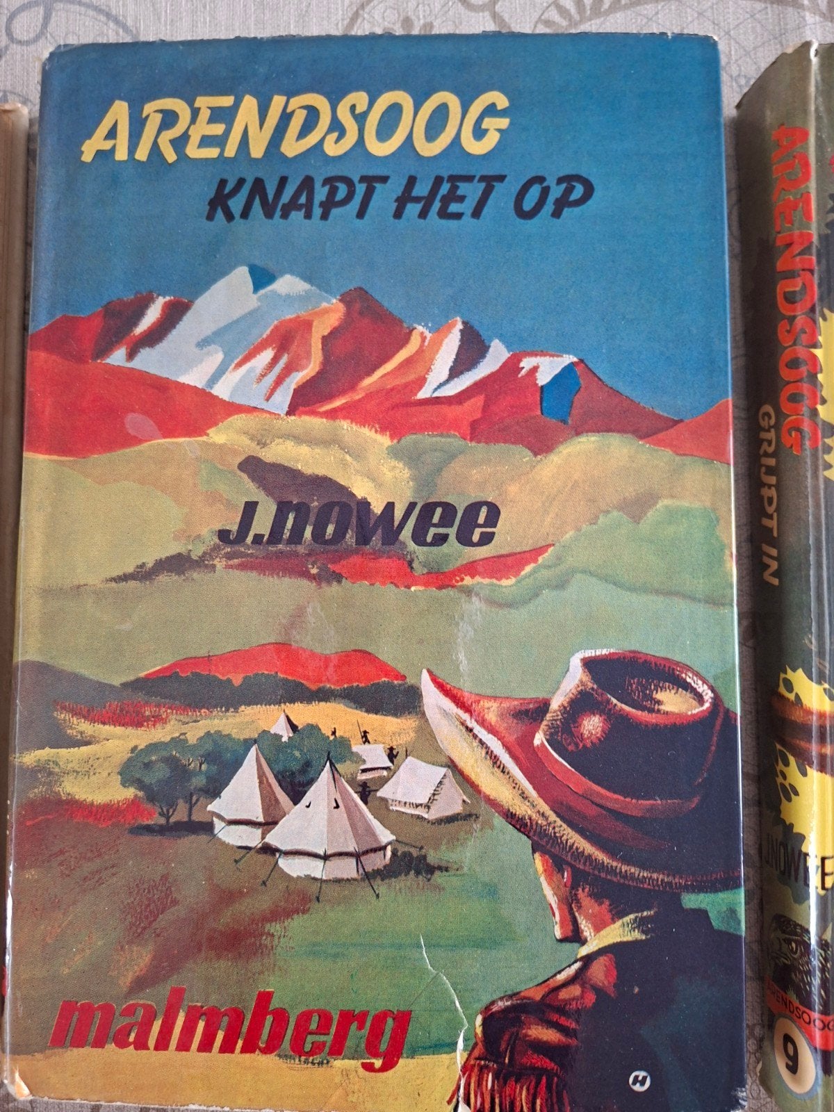 Arendsoog knapt het op van J. Nowee, Ophalen of Verzenden, Gelezen, J. Nowee, Fictie