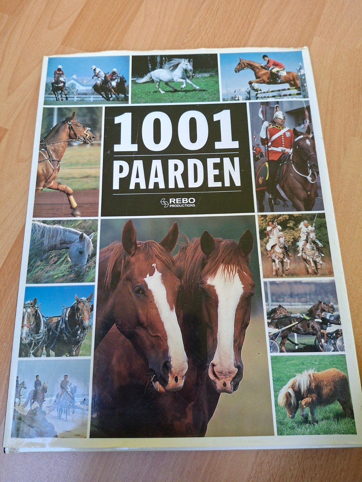 1001 Paarden - Prachtig geïllustreerd boek, Verzenden, Zo goed als nieuw, Diverse auteurs