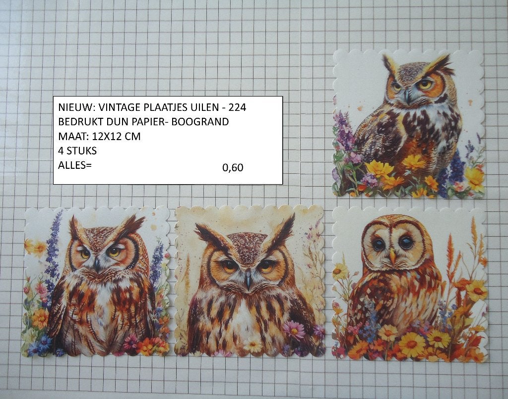 ⚠️nu 0,45: vintage plaatjes uilen 224 ( alleen verzenden, Ophalen, Nieuw, Dieren, Knipvel