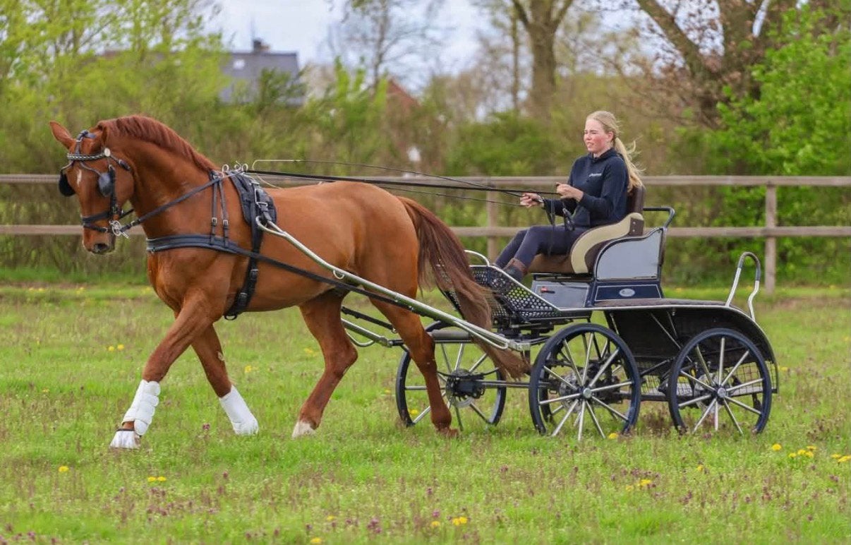 Paardrijlessen en of menlessen aangeboden!, Paardrijles of Ponykampen