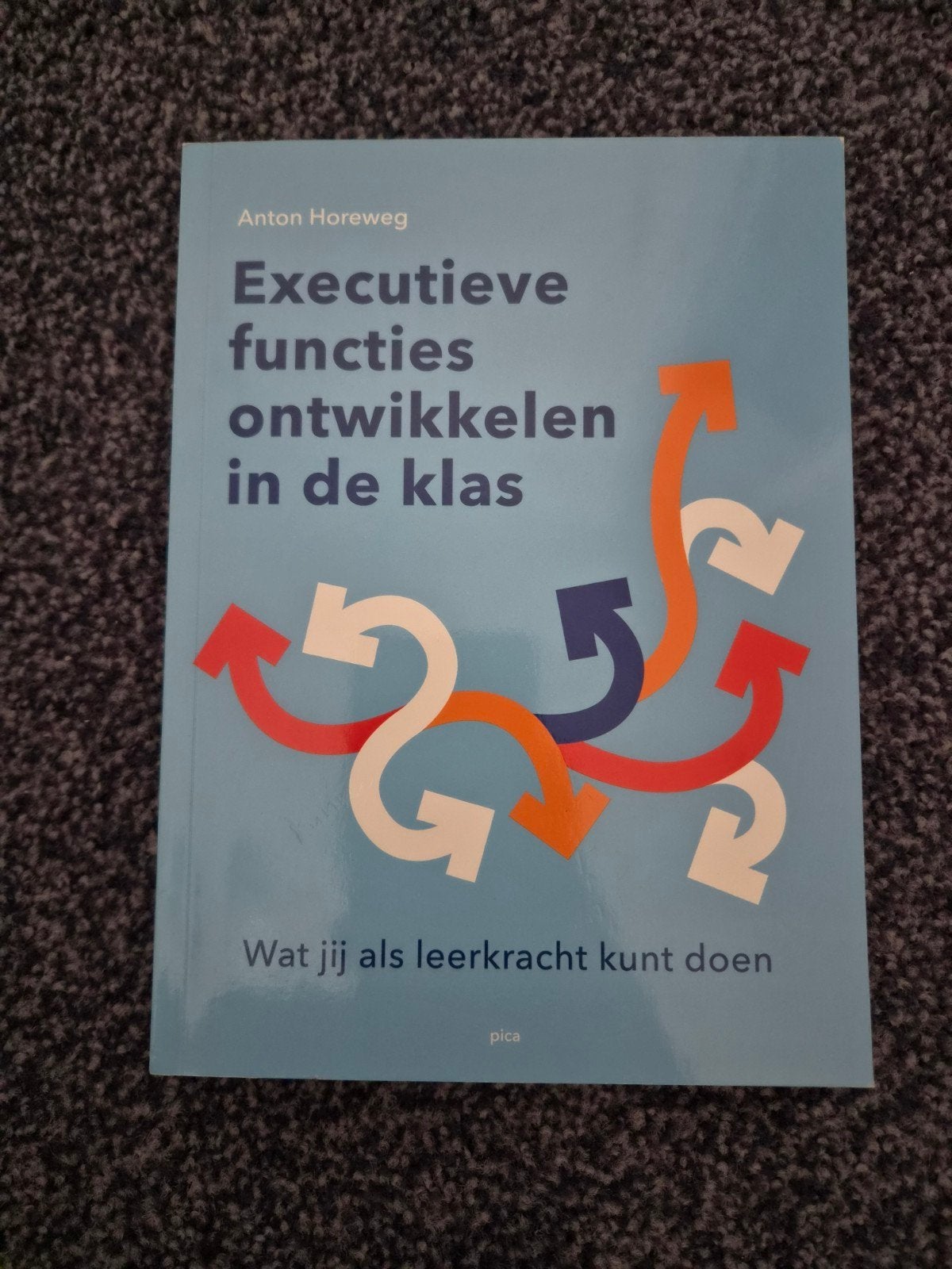 Executieve functies ontwikkelen in de klas - Anton Horeweg, Boeken, Overige vakken, Ophalen of Verzenden, Zo goed als nieuw, Anton Horeweg